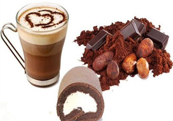 Premium Quality Low Fat Healthy Food Ingredient Cocoa Powder