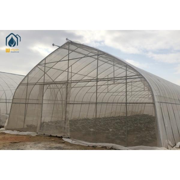 Oval Tube Film Multi Span Greenhouse Arched Commercial Greenhouse Frame
