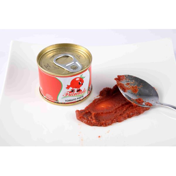 Red Color Tinned Canned Tomato Paste 100% Fresh Raw Material Brix 28 - 30