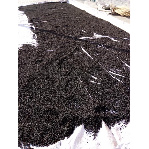 New Amorberry Wild goji bery/ wild wolfberry /Qinghai Black goji
