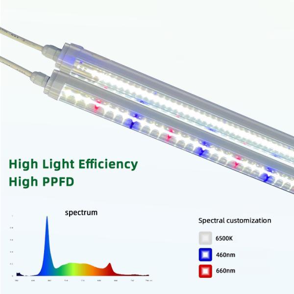 Super Bright 3 Foot Grow Light 90cm 4ft 120cm Japanese LED Light Tube 24W 36W T8