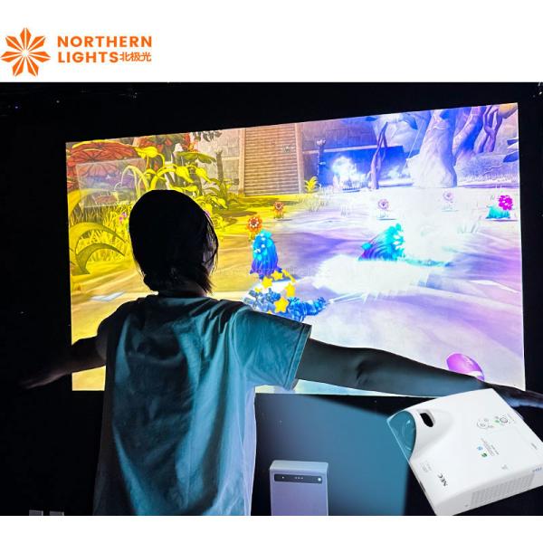 Amusement Park Somatosensory Machine Interactive Wall Games Machine