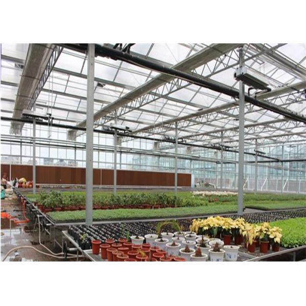 Large Ventilated Area Forest Garden Greenhouse Galvanized Frame Finishing