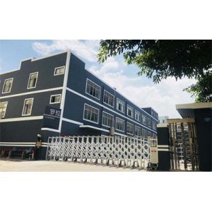 Shenzhen Rona Intelligent Technology Co., Ltd