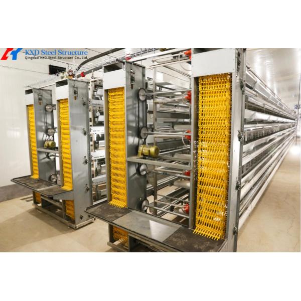 Anti Corrosion Automatic Layer Battery Chicken Cages For Africa Agricultural Poultry Farming