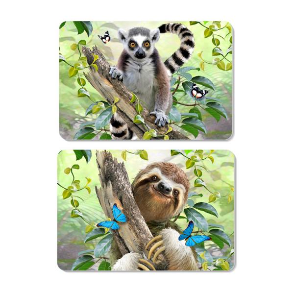 Customized Eco-Friendly 0.6mm PET 3D Lenticular Dining Placemat For Kitchen & Kids