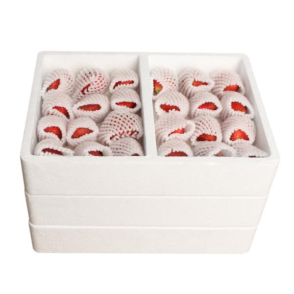 Winter Strawberry Foambox Express Special Fruit Packaging Gift Box Loquat Small Tomato Cherry Tomatoes Fresh-keeping Box