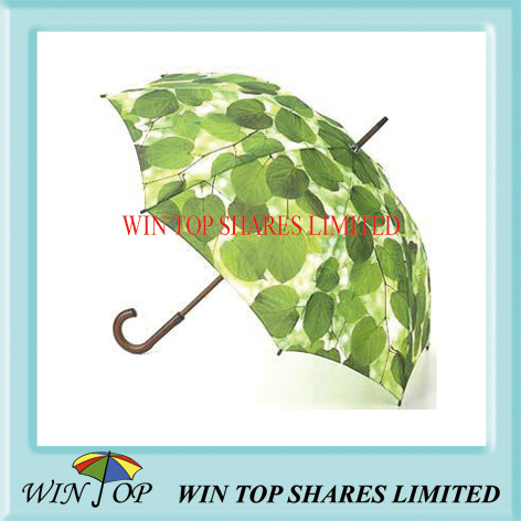 23 Auto Advertising Wooden Handle Umbrella(WT5077)