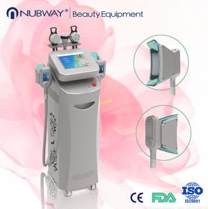 China Hot sale cryolipolysis slimming beauty machine/cryolipolysis slim instrument & device on sale