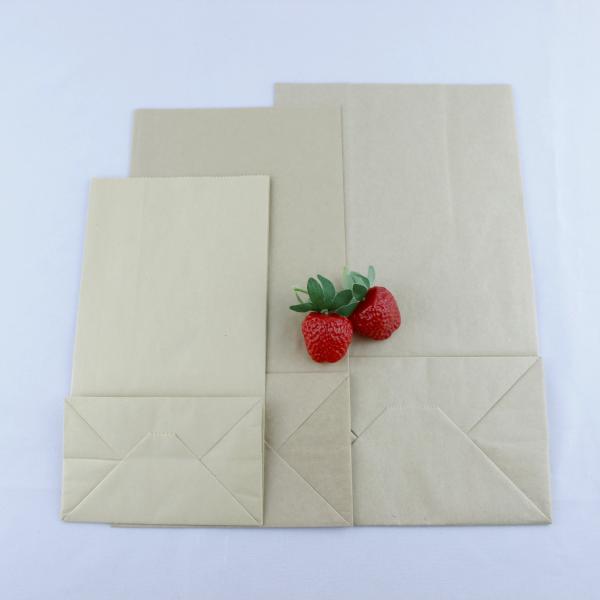 Biodegradable Recycled Kraft Paper Bags Flat Bottom With Twisted Handles