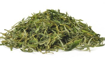 Spring Xinyang Maojian Organic Natural Green Tea Against Coronary Heart Diseases