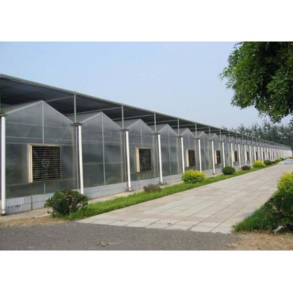 Garden Flowers PC Sheet Greenhouse , Farm Vegetables Flowers Multi Span Greenhouse