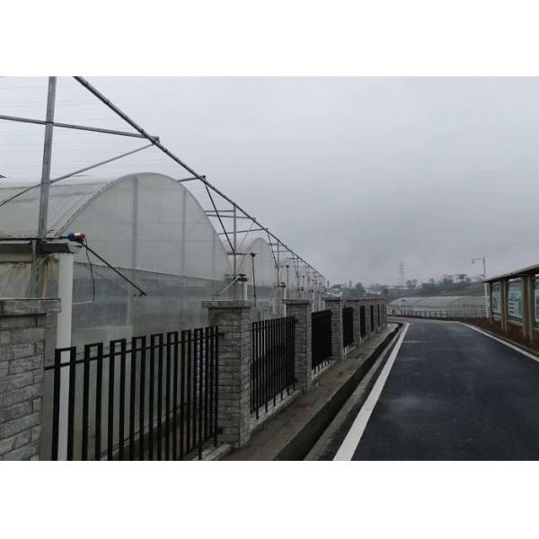 Simple Structure Plastic Film Greenhouse For Vegetables / Fruits Growing