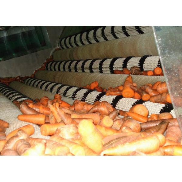 Industrial Carrot Processing Plant  / Stable Carrot Processing Equipment