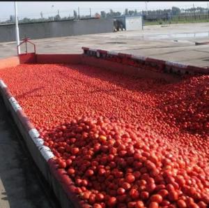 China Tomato Paste Production Line For 300 Tones A Day Processing Machine on sale