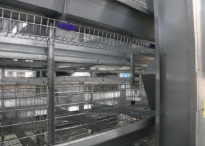  Hot Galvanized Full Automatic Poultry Feeder System Anti - Perching Manufactures