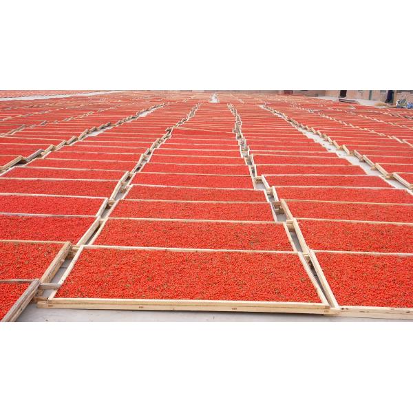 Factory Supply High Grade Dried Goji Berries Wolfberry New Crop Organic Goji Berries / Chinese Wolfberry