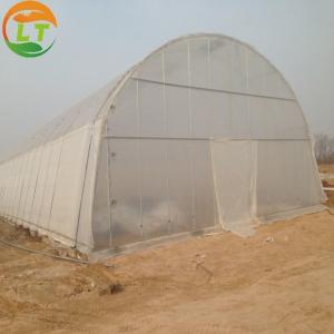  Customized Size Mushroom Growing System for Microgreens in High Tunnel Greenhouse Manufactures