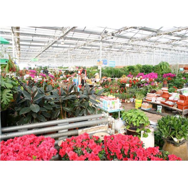 Single Span Ecological Greenhouse , Large Glass Greenhouse Aluminium / Steel Metal Type