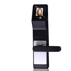  Smart 3D Infrared Face Recognition Door Handle Lock For Family and Company Manufactures