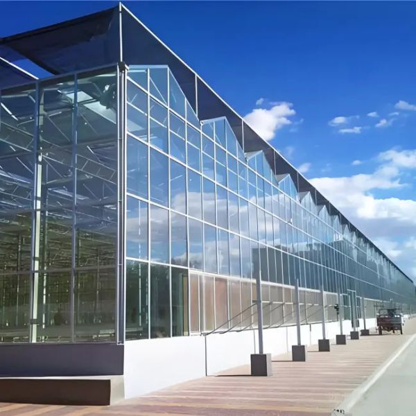 Hydroponic System Venlo Greenhouse Easy Insulation Commercial Glass Greenhouse