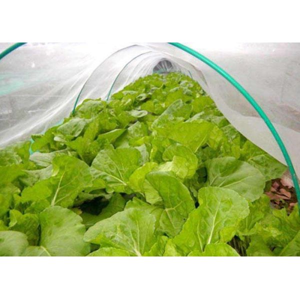 50X35 Plastic Wire Mesh 100g/M2  Anti Insect Net For Greenhouse