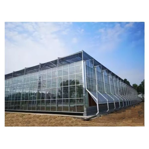 Shine Tech Automated Greenhouse Glass House Instruction Super Strong Resistance