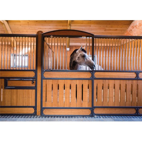 Commercial 10ft 12ft Horse Stable Box / Galvanized Horse Fence