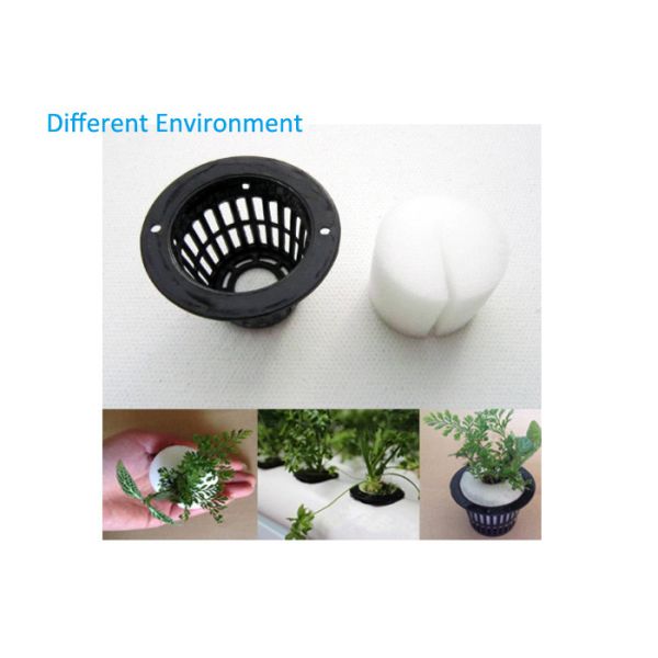 Customized Agricultural Hydroponics Plastic Cups Convenient Easy Cleaning