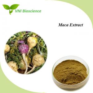  Natural Maca Root Extract Powder Supplyment Lepidium Meyenii Walp Extract Manufactures