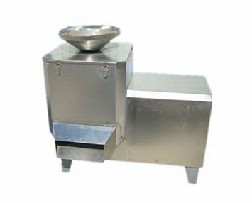 Fruit and vegetable cake production line- Denucleating beating machine