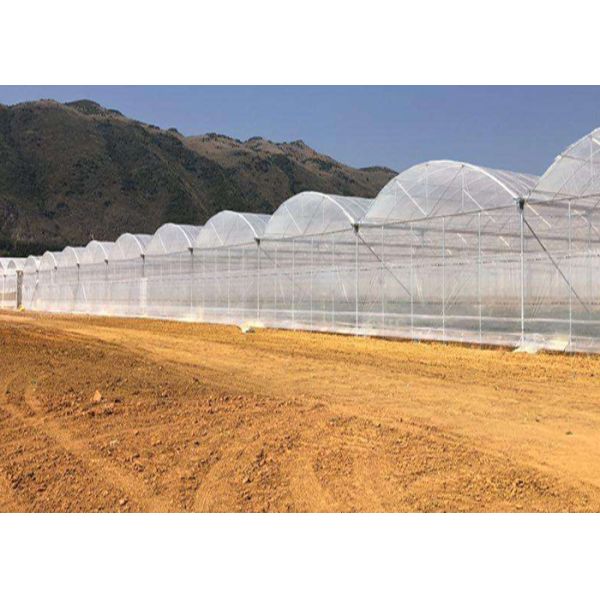 Agriculture Polytunnel Greenhouse