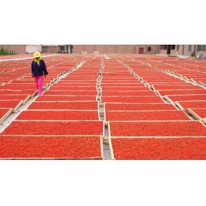 Ningxia Amorberry Foodstuff Co., Ltd.