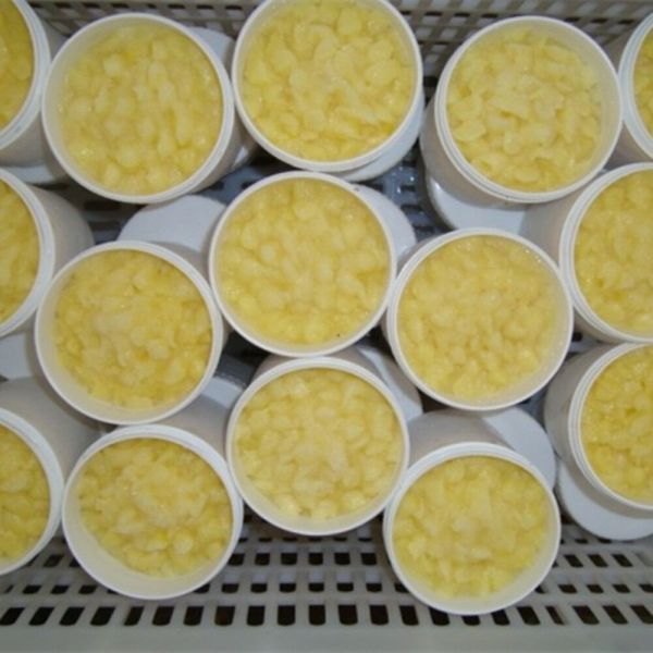10-HDA 1.8% Organic Fresh Royal Jelly 100% Pure