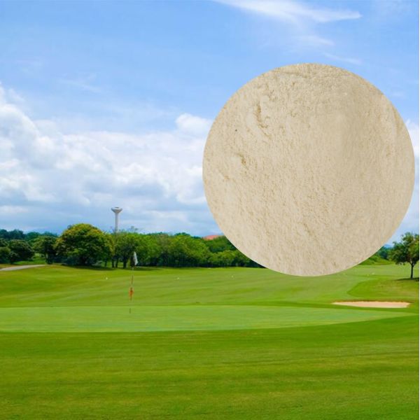 10% Chelated Trace Elements Amino Acid Organic Fertilizer For Plants