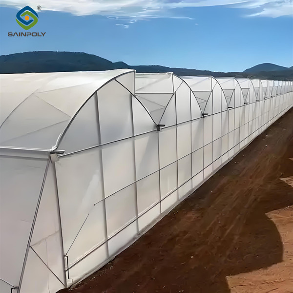 Multispan Greenhouse Complete Hydroponic Nft Greenhouse 6.0~12.0m Span
