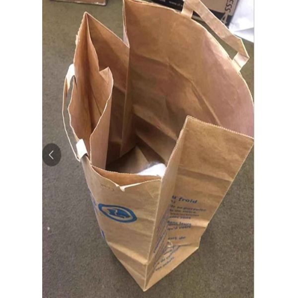 Double layer bag with flat or twisted handle and high quality kraft paper
