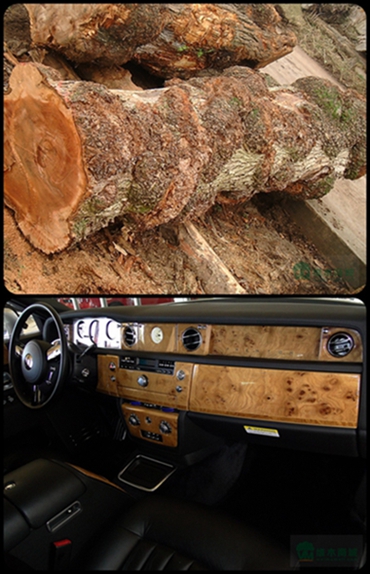 ELM Natural Wood Veneer Crown Cut Grain Provide Customized Service