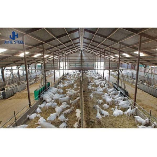 Long-span Grid Structure Prefab Modern Greenhouse Shed for Broiler Chicken Farming