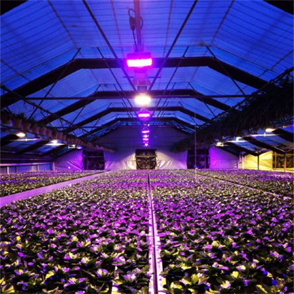 Light Deprivation Automatic Blackout Greenhouse Height 2.8-5m
