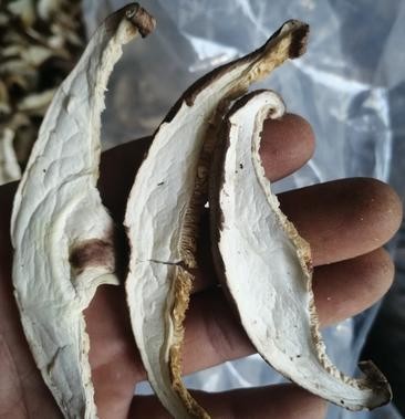 500g Food Family Pack Dried Sliced Shiitake Mushrooms MOQ5CTN