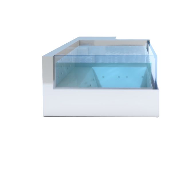 Upgrade Your Aquatic Experience with a Rectangular Stainless Steel Shipping