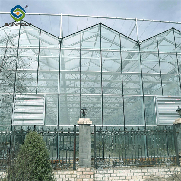 Venlo Greenhouse Commercial Polycarbonate Glass Greenhouse For Seeds Vegetables Hydroponic Tomato