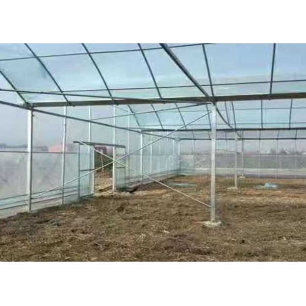 Complete Multi Span Plastic Film Greenhouse With Heating / Cooling System