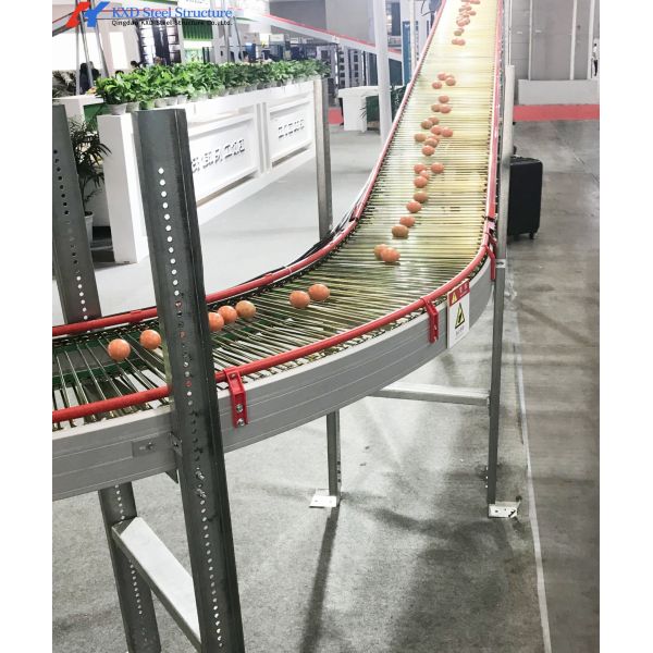 Modern Poultry Cage Customized Hot Dip Galvanized Steel Layer Poultry Cages