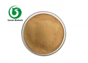  5/1 10/1 Organic Cascara Sagrada Extract Powder For High Cholesterol Manufactures
