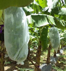 Weed Control Agriculture PP Nonwoven for Planting Customize Weight Color Width Length