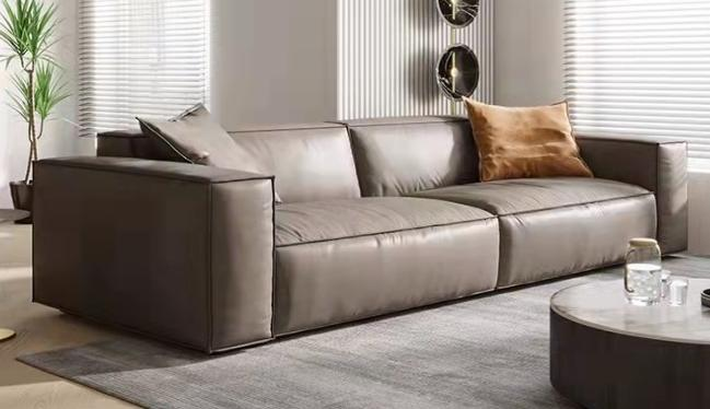 Minimal Assembly Leather Lounge Sofa 2 Seater Seating Capacity