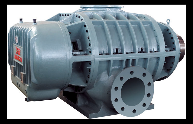 Hygienic Rotary Lobe Vacuum Pump for Sanitary Food and Beverage Applications