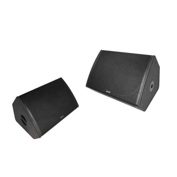15 Inch Floor Monitor Pro Audio Sound System For Indoor Stages High Efficiency